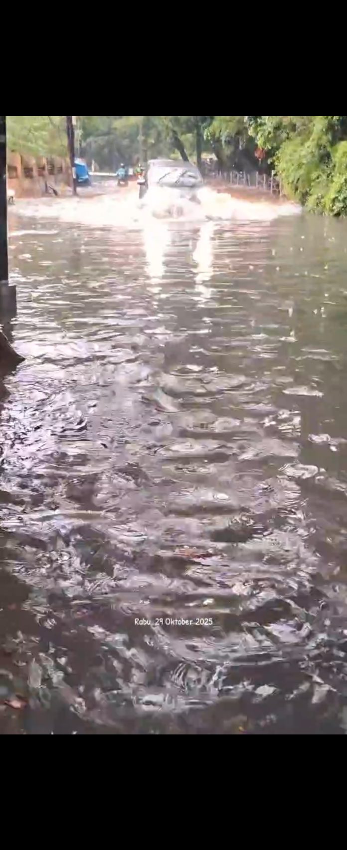 Screenshot_20251029_201324_WhatsApp